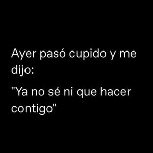 Meet your Posher, Leydi